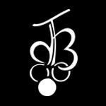 Logo damien Bruneau noir et blanc